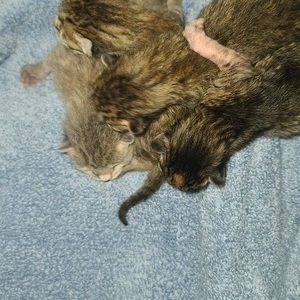 Meet your Posher, Kim